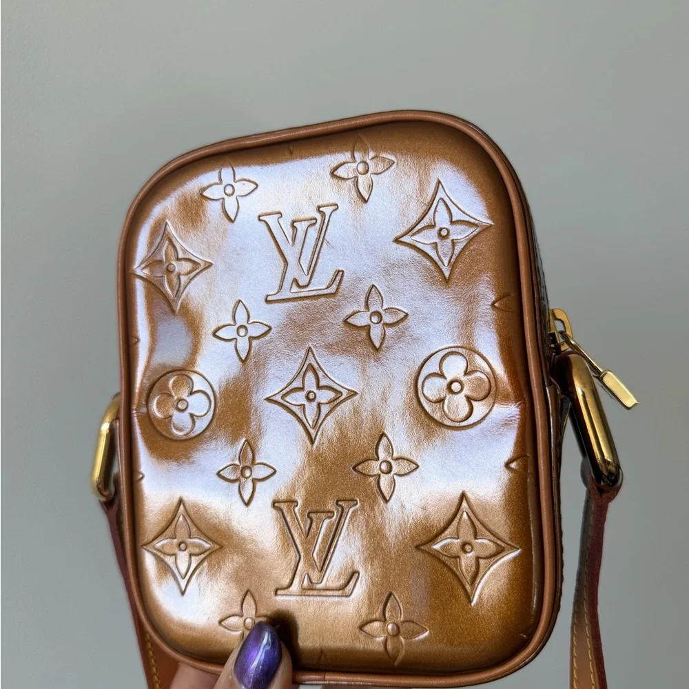 Louis Vuitton stylish brown